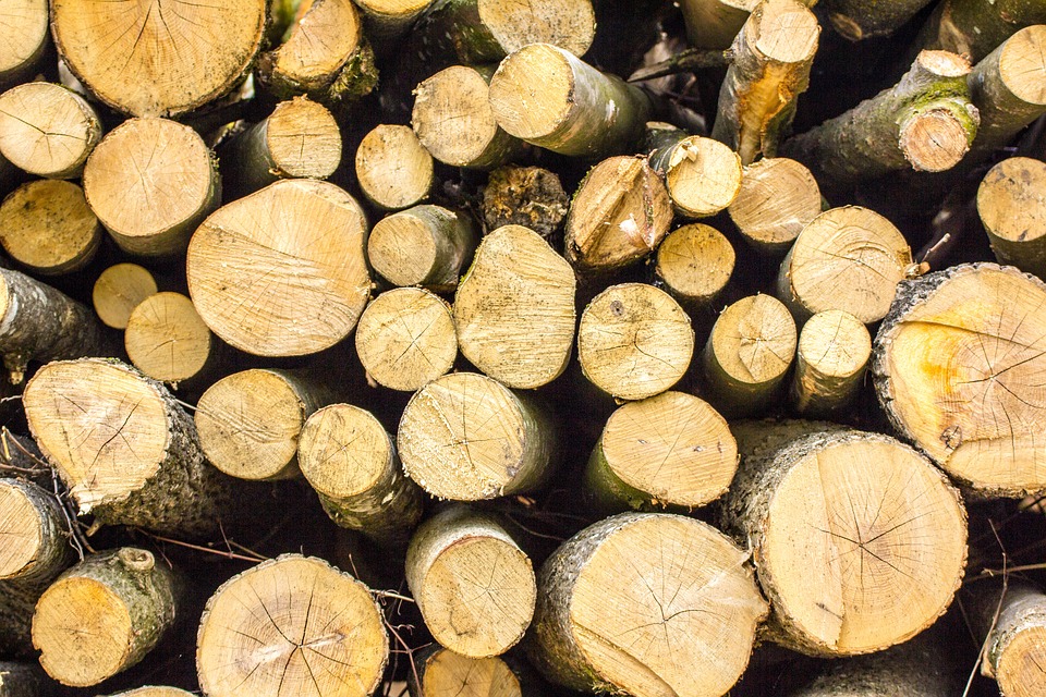 Lokaal hout: lokaal verwerken