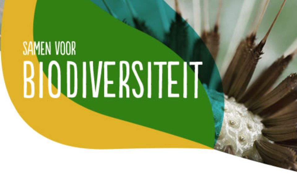 Deltaplan Biodiversiteitsherstel financiert Zuid-Hollandse projecten