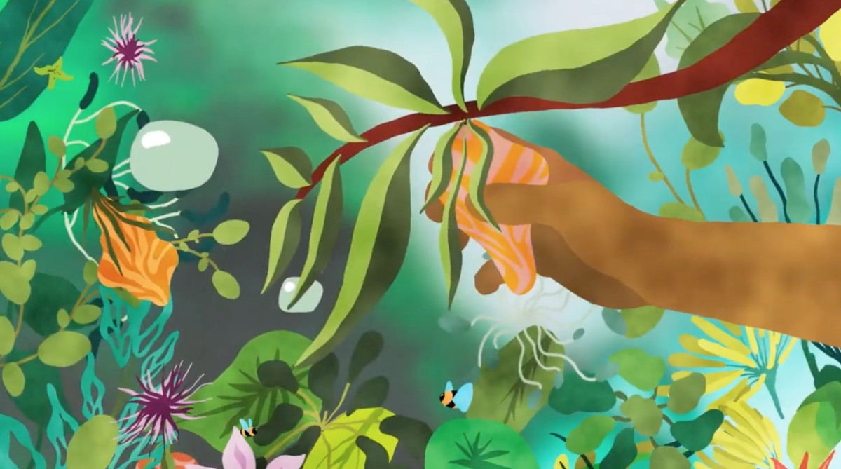 Campagne ‘Maak Grijs Groener’ brengt begrip biodiversiteit tot leven