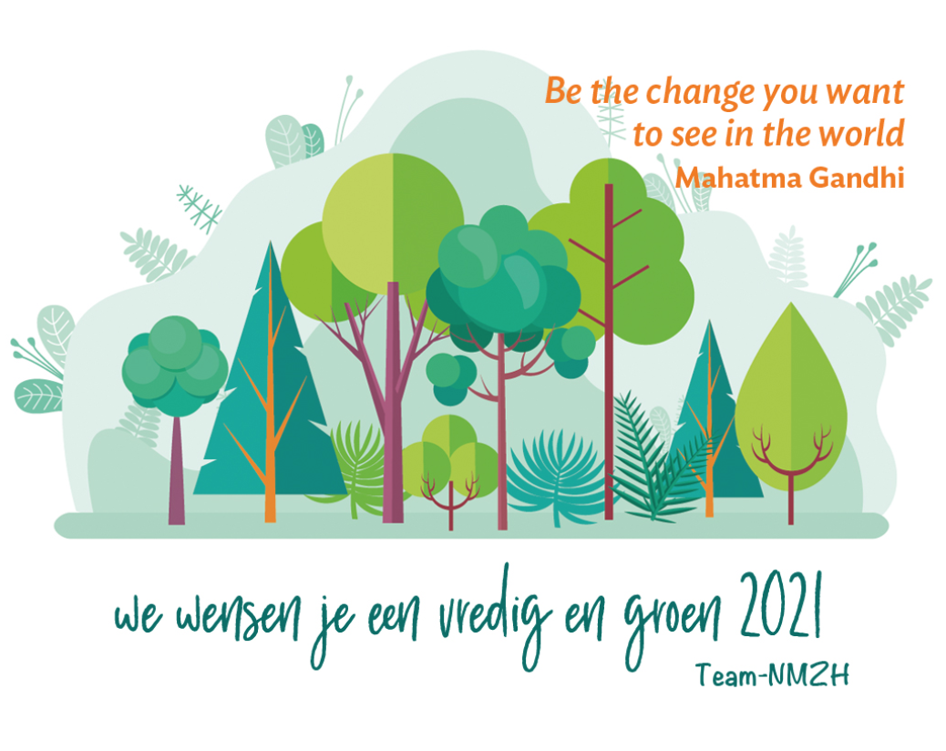 De NMZH in 2020: resultaten en impact