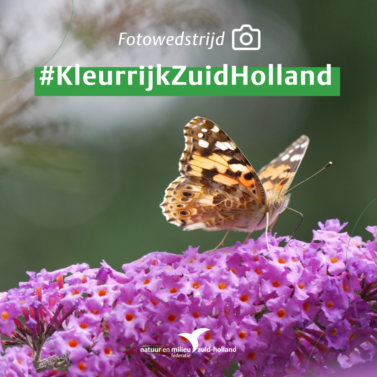 Fotowedstrijd Kleurrijk Zuid-Holland van start
