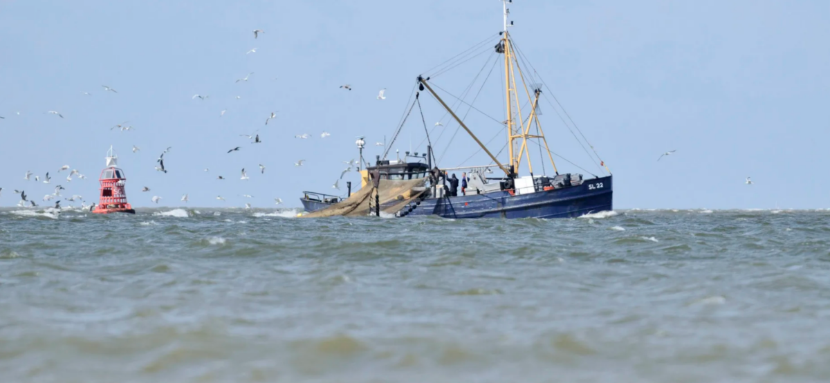 Intensieve garnalenvisserij in beschermde natuurgebieden niet langer houdbaar: Natuurorganisaties vechten gedoogbeschikking LNV aan