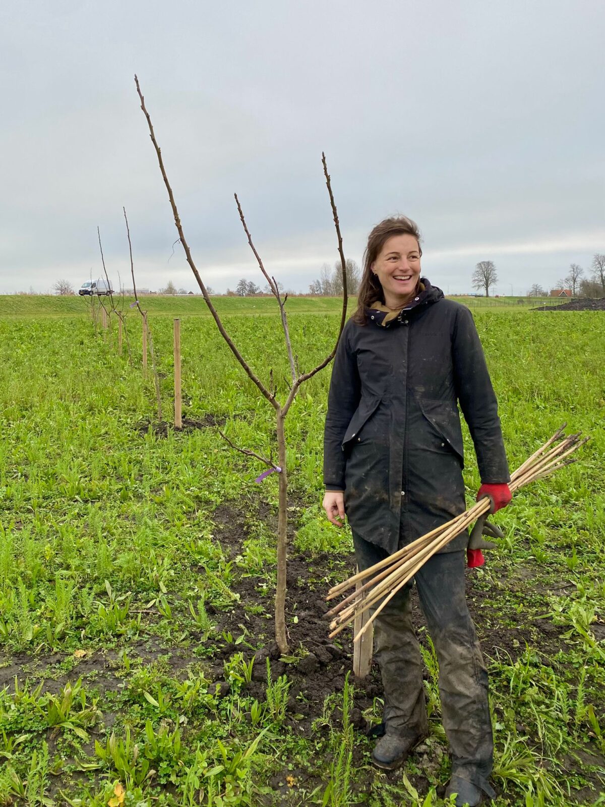 Excursie Agroforestry op 17 oktober in Noord-Holland