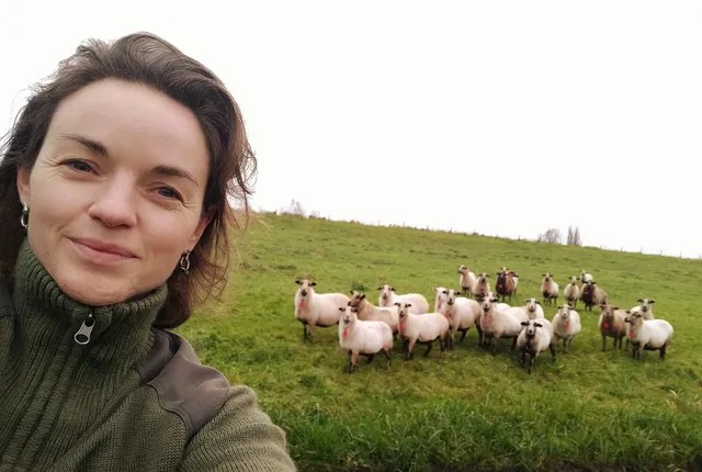 Agroforestry proefperceel bij Hazelland 10 in Zoeterwoude