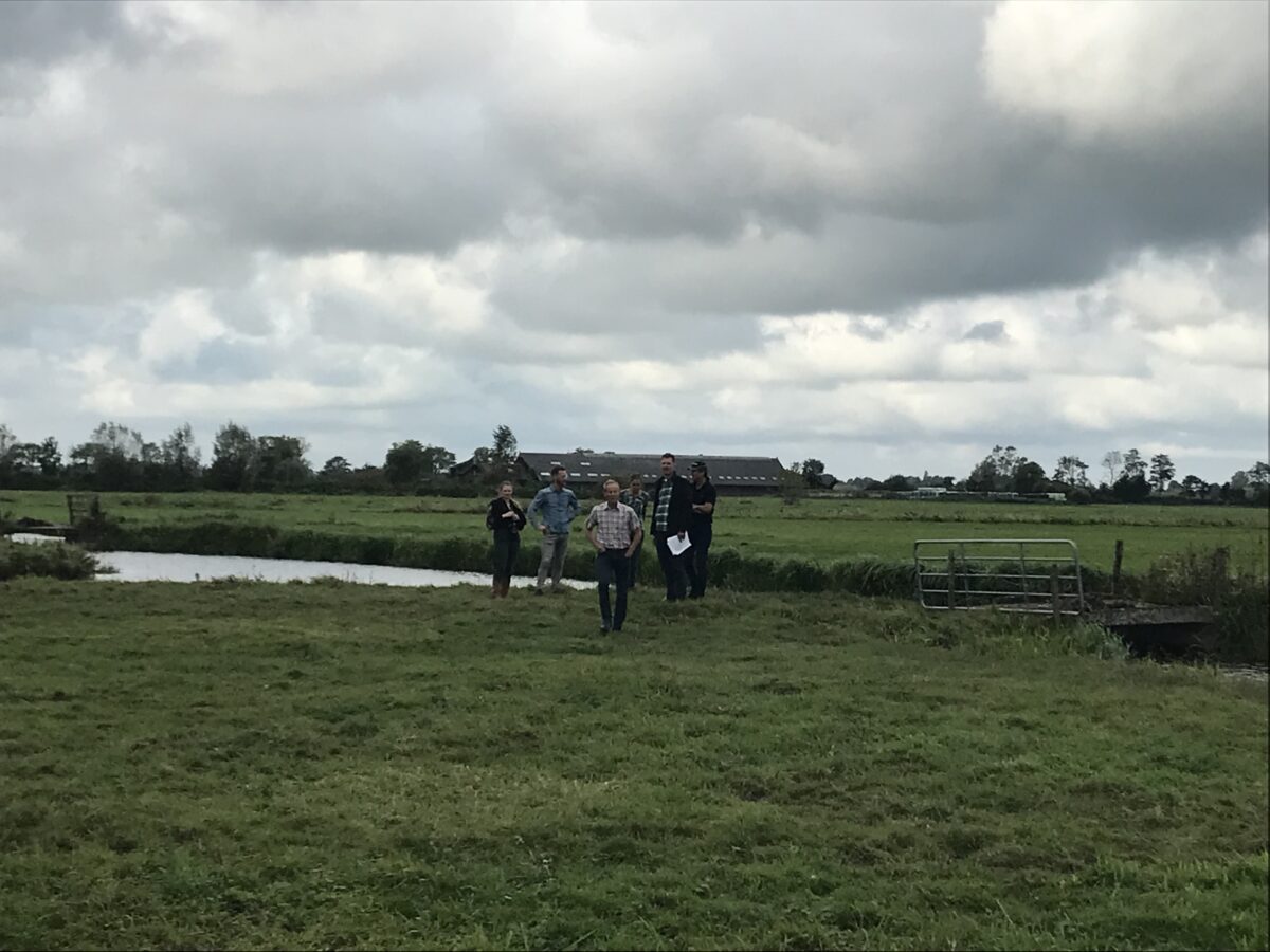 Proefperceel Agroforestry bij De Drie Wedden