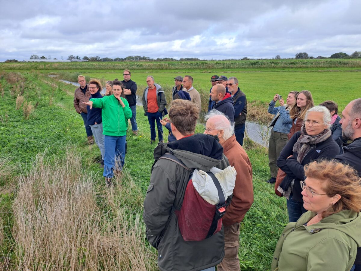 Webinar: Aan de slag met Agroforestry. Lessen uit het veld.