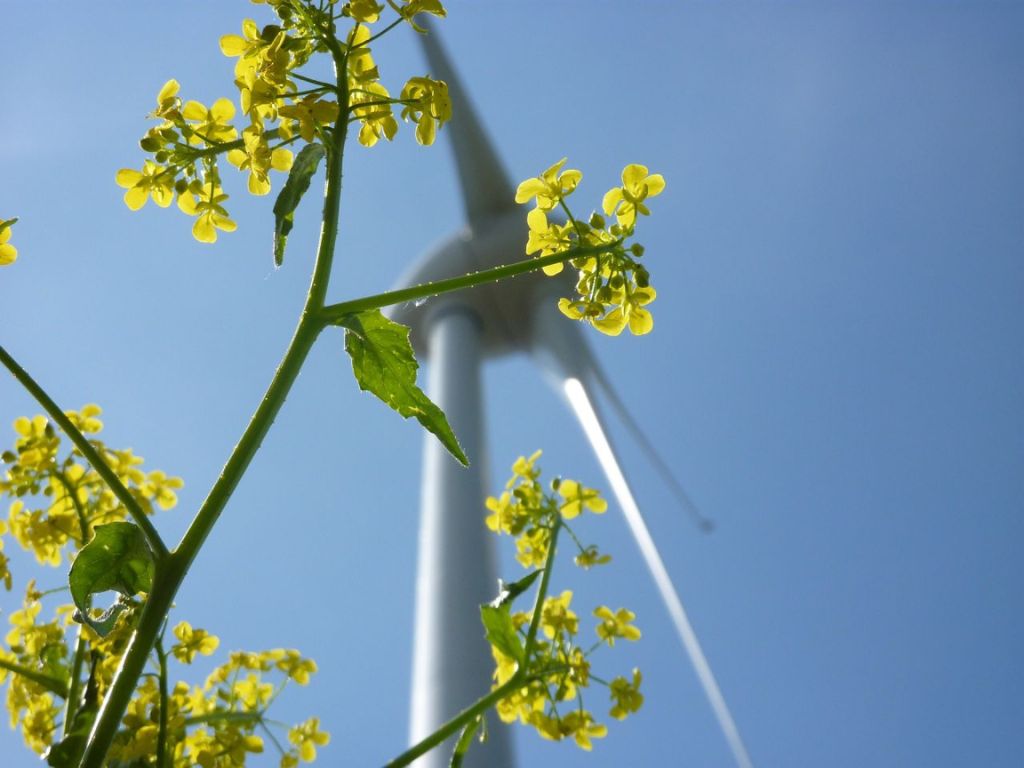 Kabinet brengt klimaatdoelen in gevaar door stilstand regionale energieprojecten