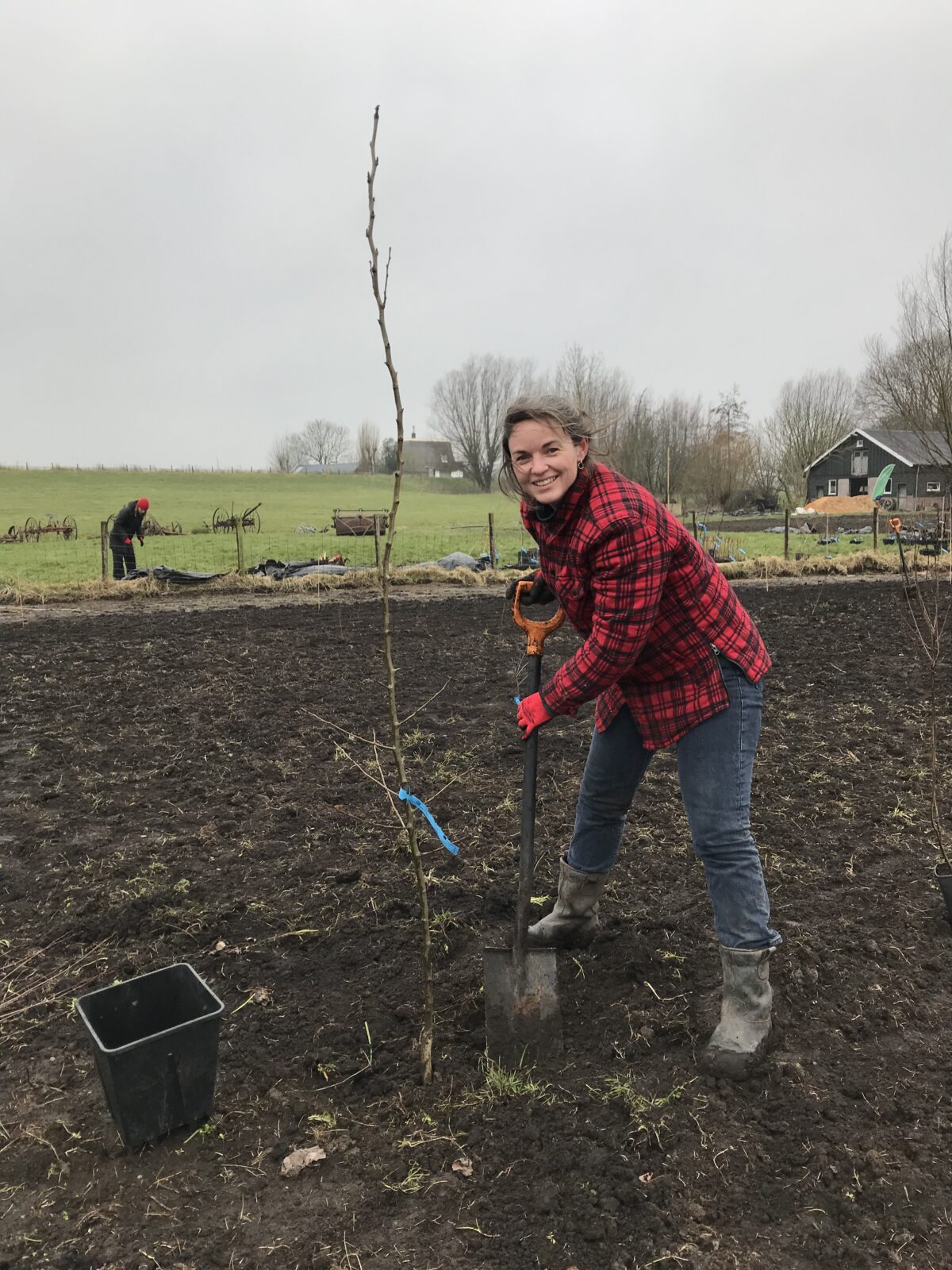 Twee proefpercelen agroforestry aangelegd en bijeenkomst voor ambtenaren van gemeenten en waterschappen