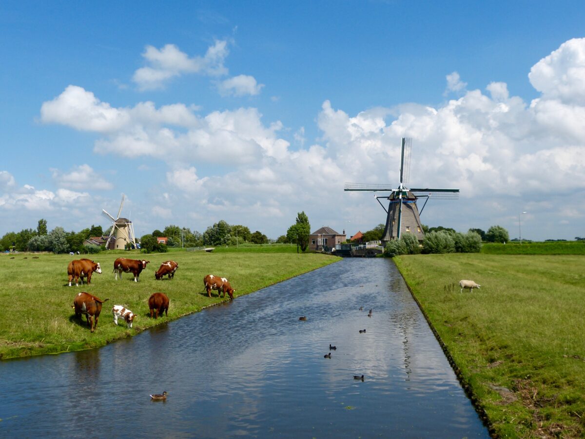 Stikstofvoorstel biedt onvoldoende uitzicht op doorbraak