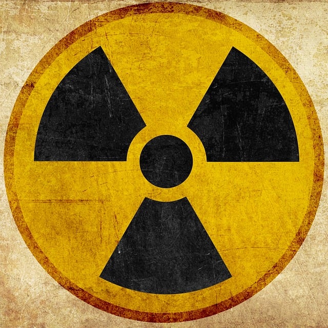 Verkenning van scenario’s en maatschappelijke impact kernenergie