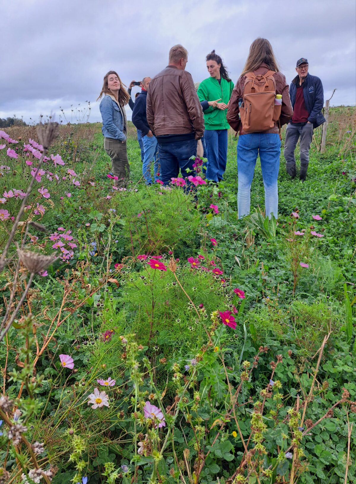 Open Voedselbossendag 2026: oproep voor voedselbossen in Zuid-Holland