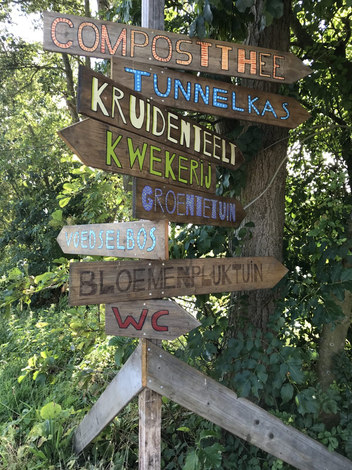 Eerste Voedselbossendag Zuid-Holland smaakt naar meer