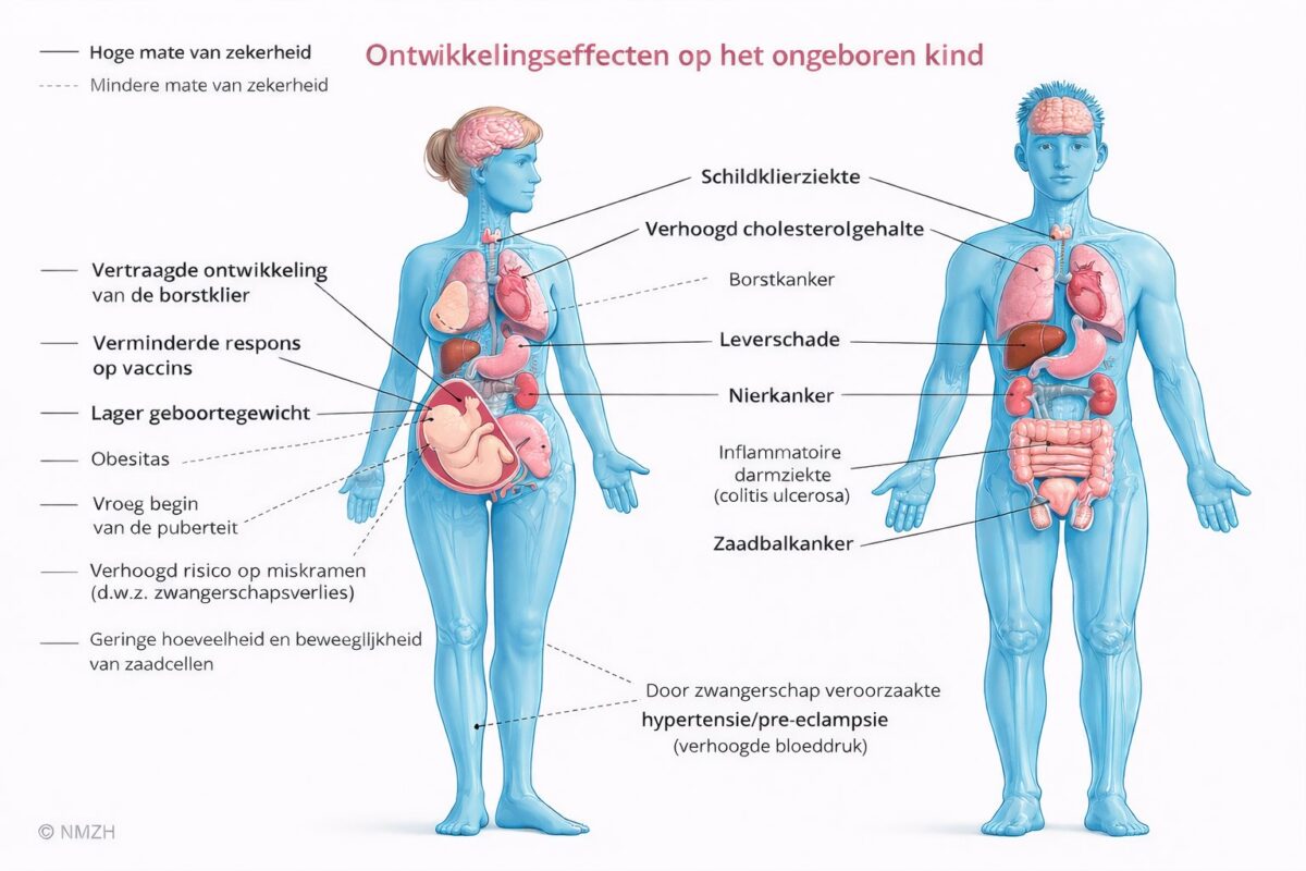 PFAS op het land, TFA in het water. Waarom het CTGB te laat en te beperkt ingrijpt