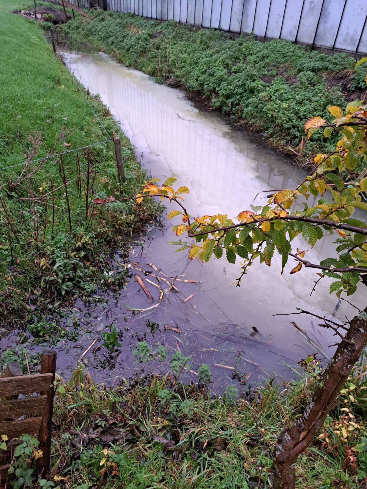 PFAS in bestrijdingsmiddelen: krijgen boeren wel het hele verhaal?