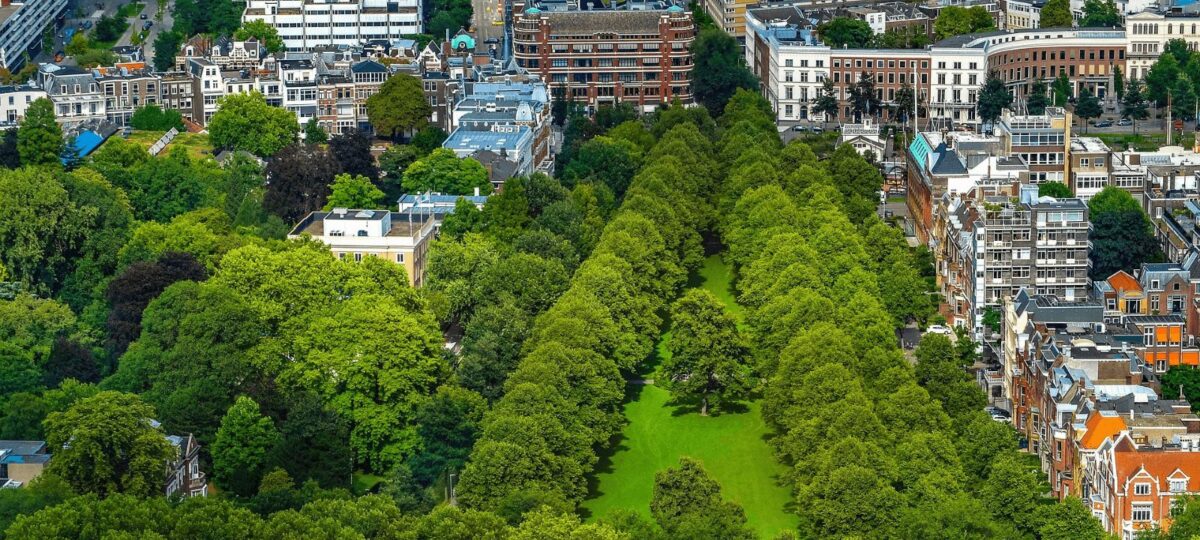 Online lobbytraining gemeenteraadsverkiezingen