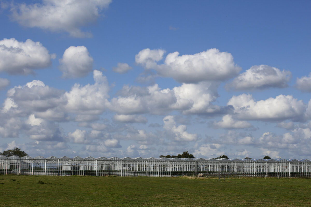 Documentaire Lek? onthult wat er uit ‘gesloten’ kassen lekt