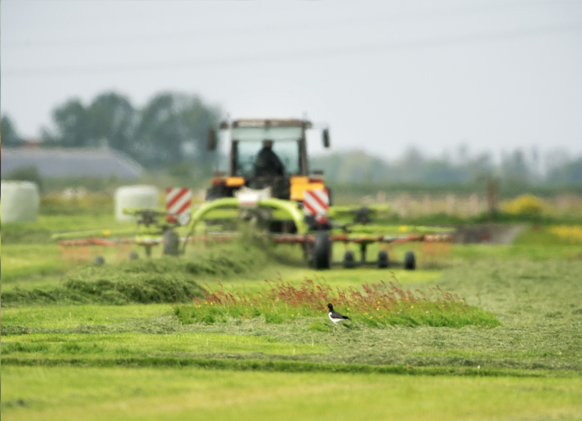 Afstudeeronderzoek afgerond over communicatie van natuurinclusieve landbouw