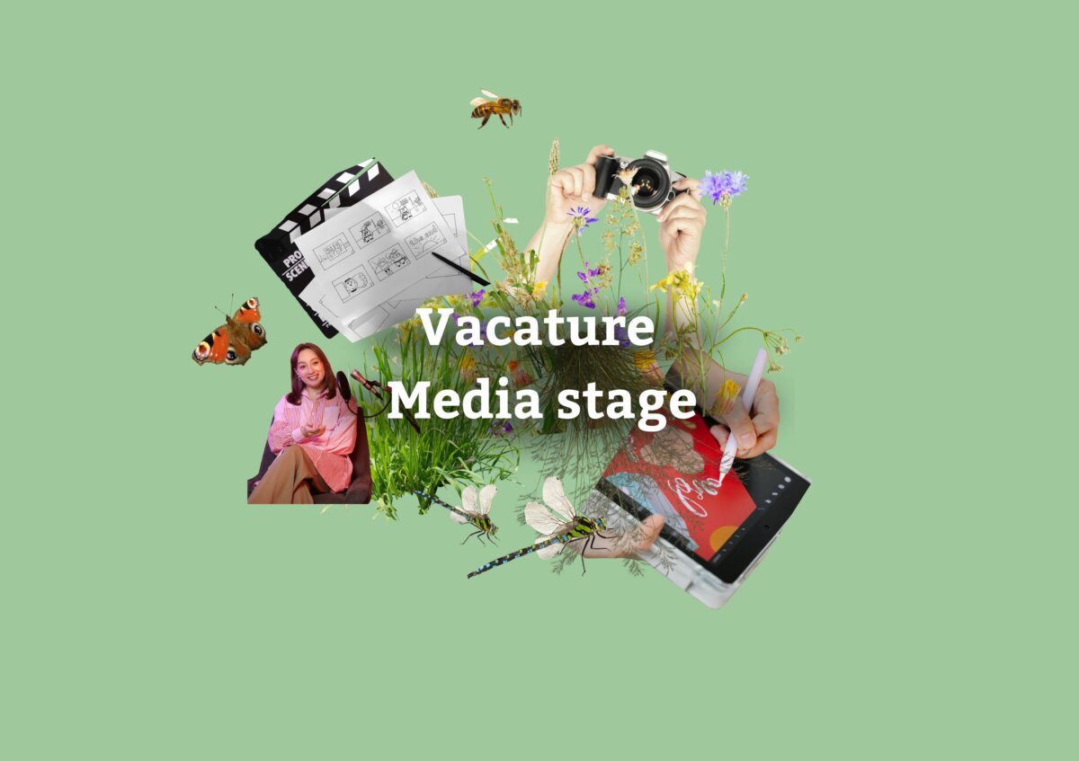 Vacature: media en storytelling stage