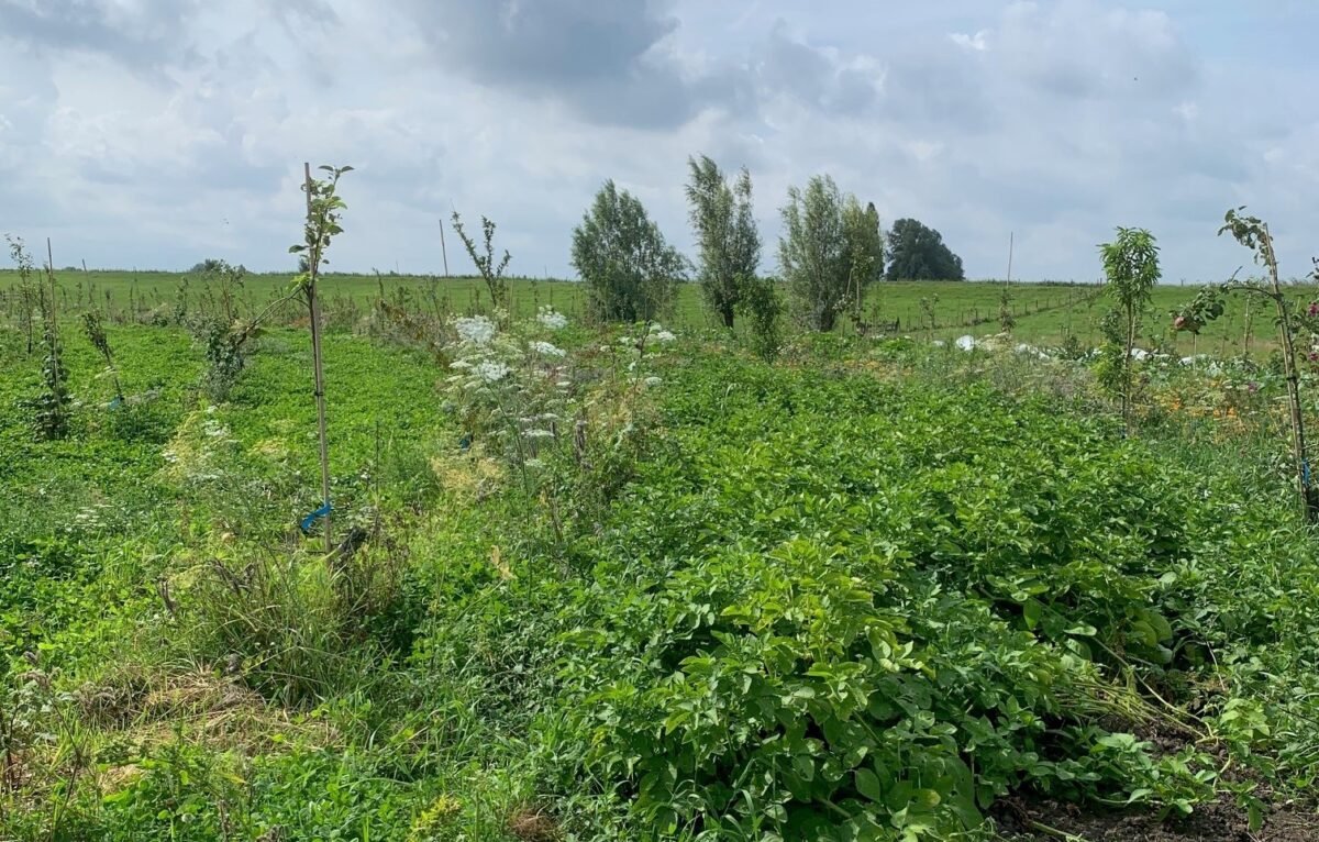 Zuid-Hollands Agroforestry Netwerk officieel van start